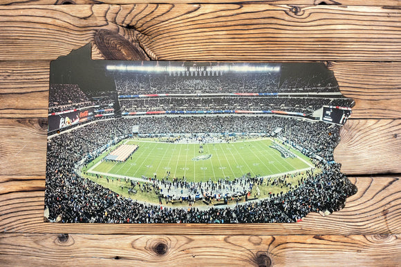 Philadelphia Eagles Pennsylvania Night Sideline Stadium Metal Sign Wall Art - NFL Football Team Decor