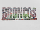 Denver Broncos Text Metal Sign Wall Art - NFL Football Team Decor